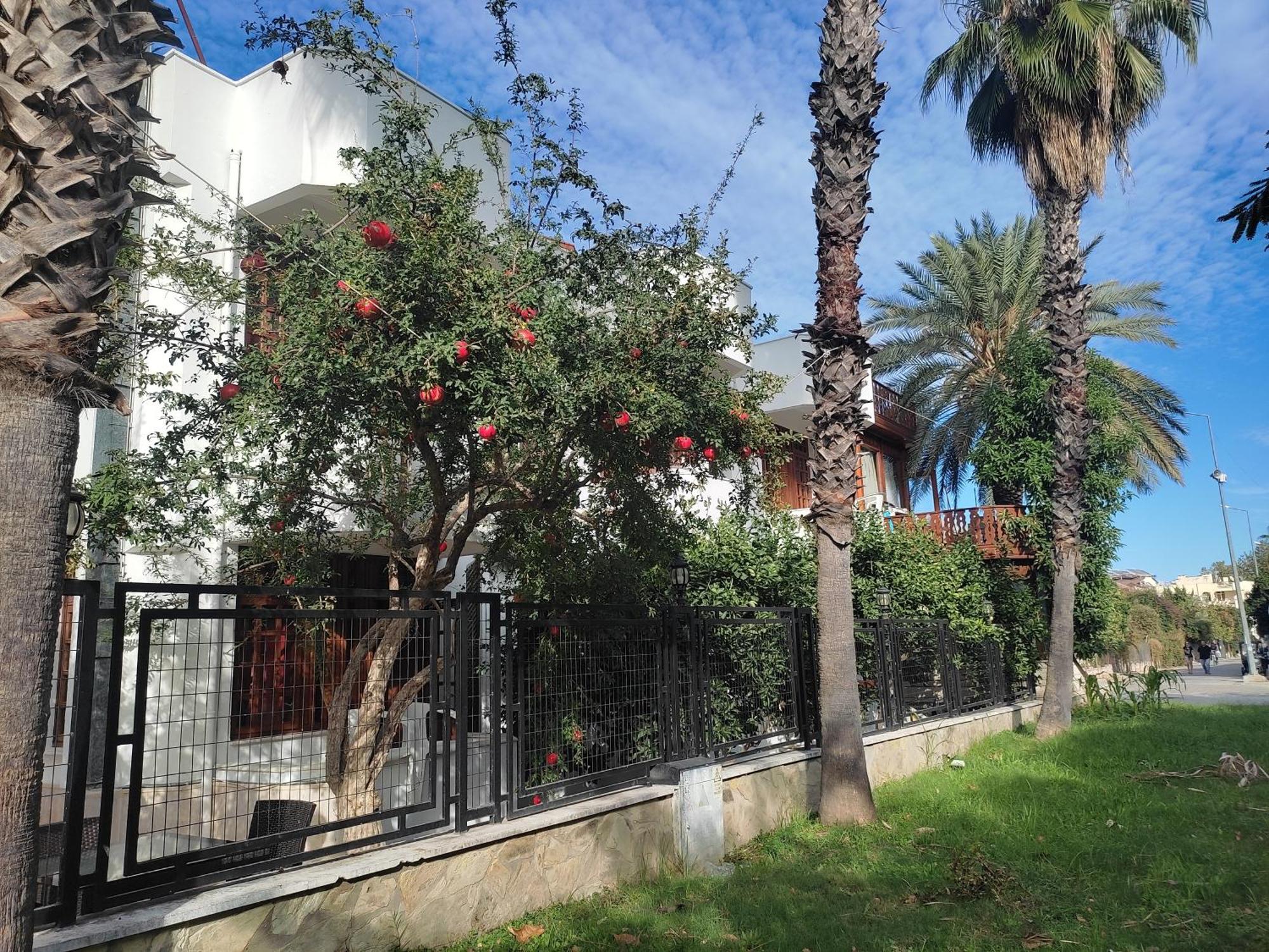 Garden Prizma Rooms&Aparts Κεμέρ Δωμάτιο φωτογραφία